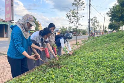 Trường TH Lê Hồng Phong trồng cây hoa, cây xanh chào mừng đại hội Đại biểu Đảng bộ tỉnh Lâm Đồng lần thứ I, nhiệm kỳ 2025 – 2030!
